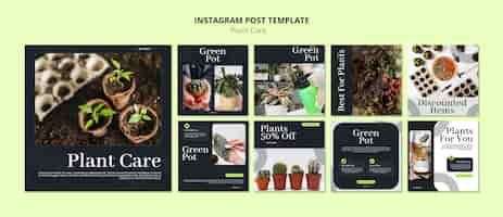 Free PSD instagram posts collection for plant care