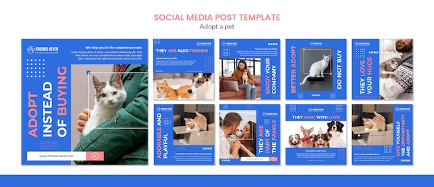 無料PSD 猫と一緒にペットを養子にするためのinstagram投稿パック