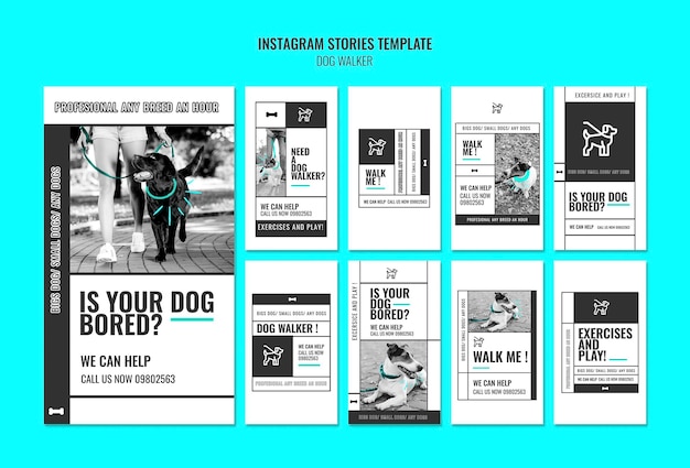 Free PSD instagram stories collection for professional dog walking company