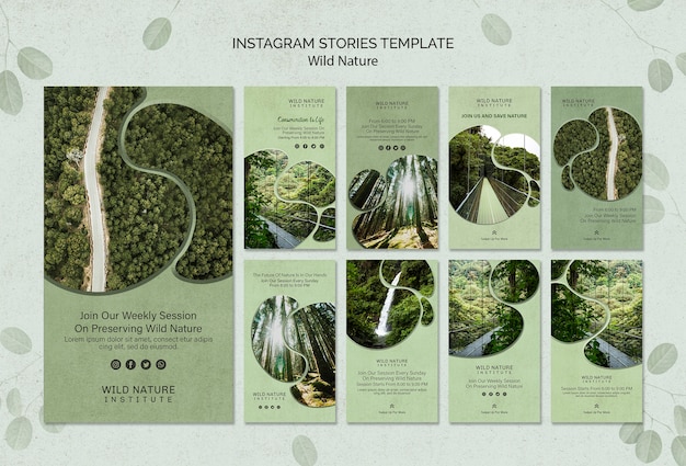 Free PSD instagram stories wild nature concept template