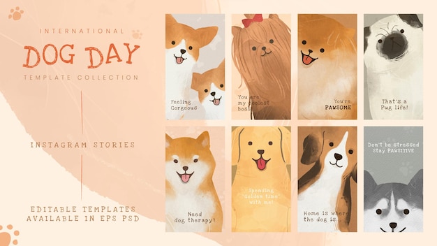 PSD gratuito modello di giornata internazionale del cane psd set di storie sui social media