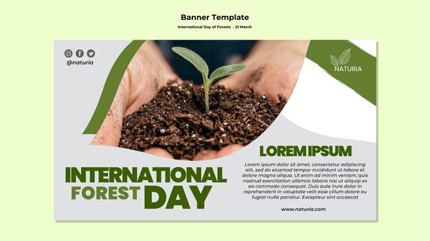 International forest day banner