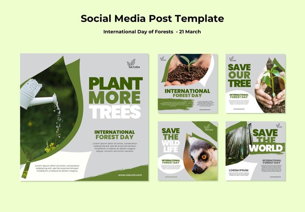 International forest day social media post