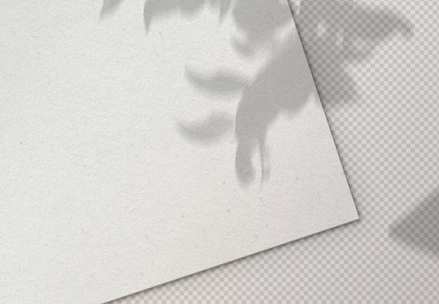 Free PSD isolated paper sheet with plant shadow