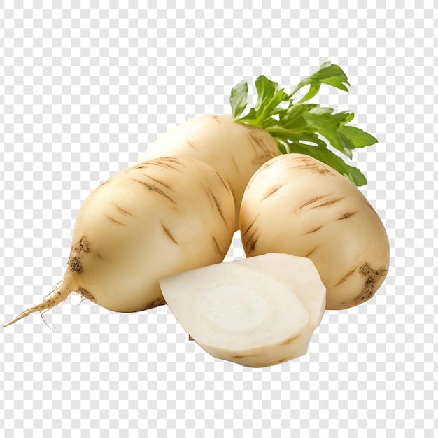 Free PSD jicama isolated on transparent background