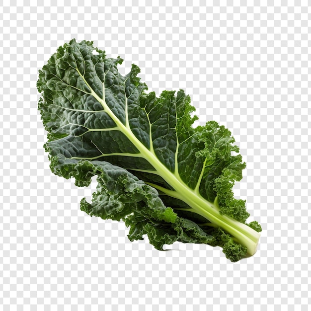 Free PSD kale isolated on transparent background