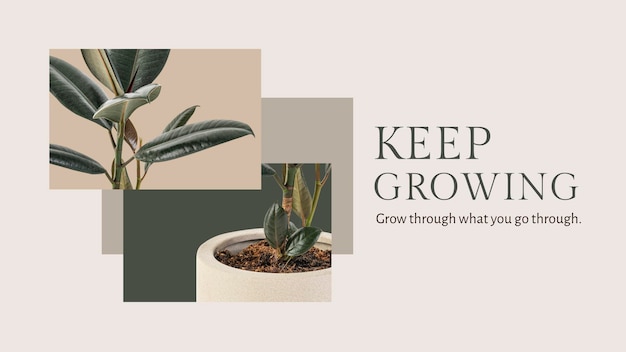 Continua a far crescere il modello botanico psd con il banner del blog della pianta della gomma