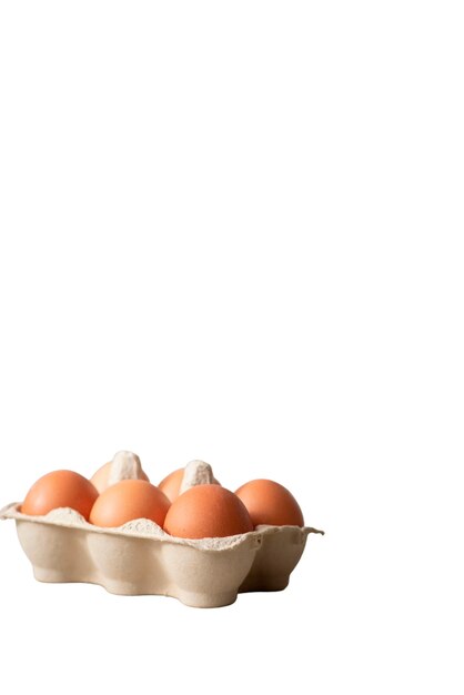 keto diet dish still life