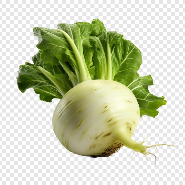 Free PSD kohlrabi isolated on transparent background