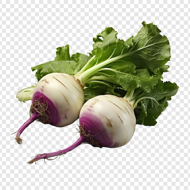 Free PSD kohlrabi isolated on transparent background