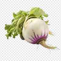 Free PSD kohlrabi isolated on transparent background