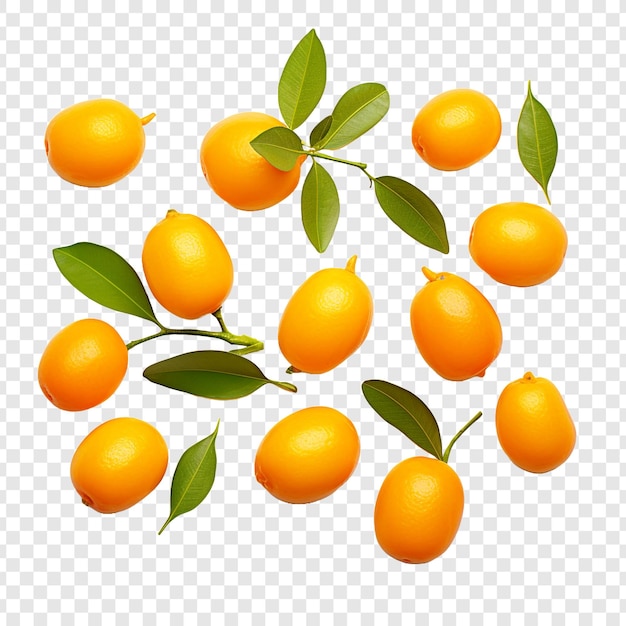 Free PSD kumquats isolated on transparent background