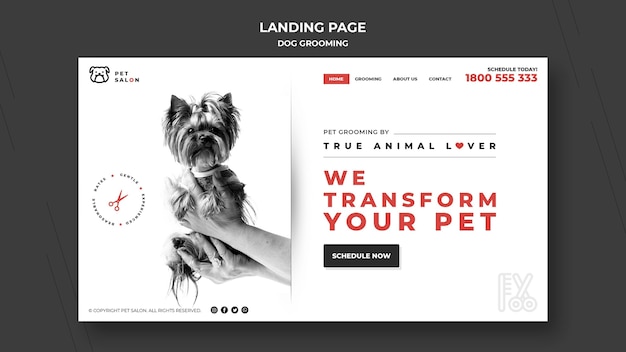 Landing page for pet grooming company