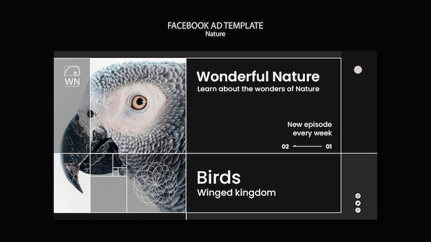 Free PSD learn about nature facebook template