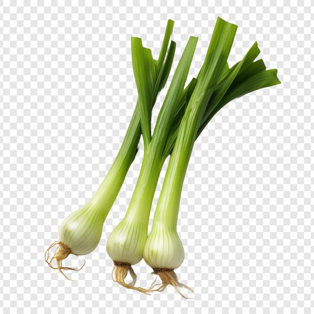 Leeks isolated on transparent background