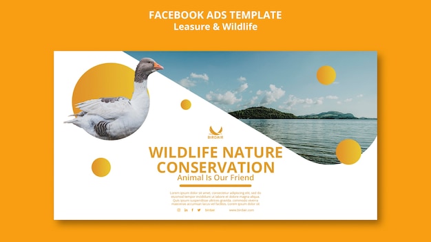 無料PSD レクリエーションと野生生物のテンプレートデザイン