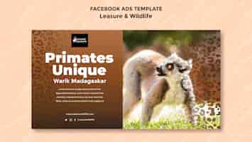 Free PSD leisure and wildlife facebook template