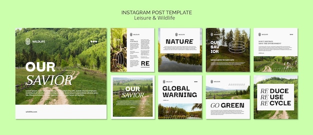 Free PSD leisure and wildlife instagram posts collection