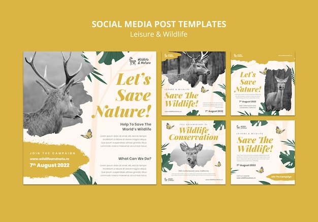 Leisure and wildlife instagram posts  template