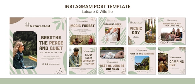 Free PSD leisure and wildlife instagram posts template