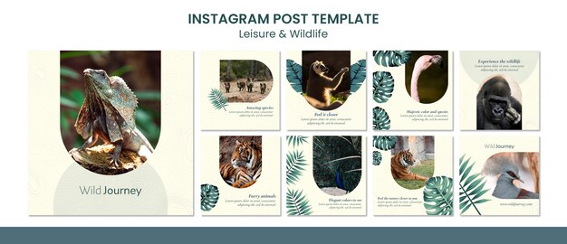 Шаблон постов в instagram для отдыха и дикой природы
