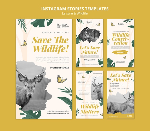 PSD gratuito modello di storie di instagram per il tempo libero e la fauna selvatica