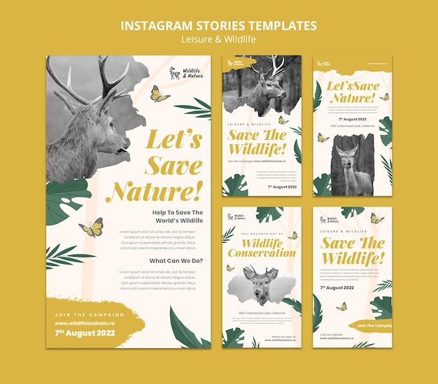 PSD gratuito modello di storie di instagram per il tempo libero e la fauna selvatica