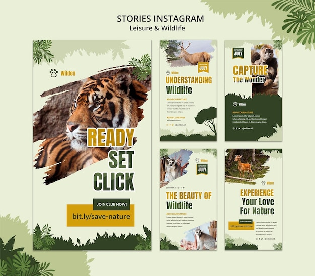 PSD gratuito storie di instagram per il tempo libero e la fauna selvatica