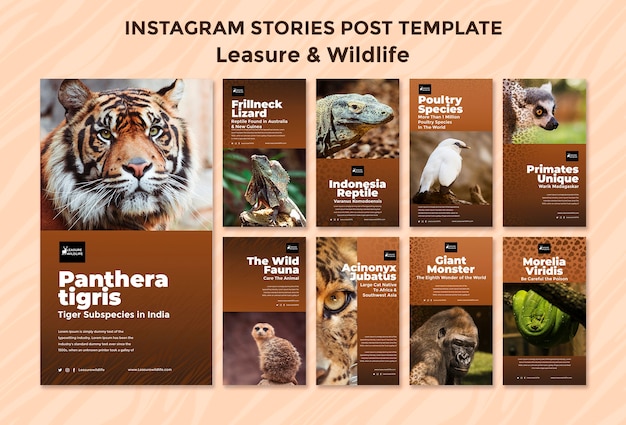 leisure and wildlife instagram stories