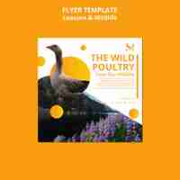 Free PSD leisure and wildlife template design