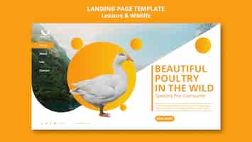 Free PSD leisure and wildlife template design