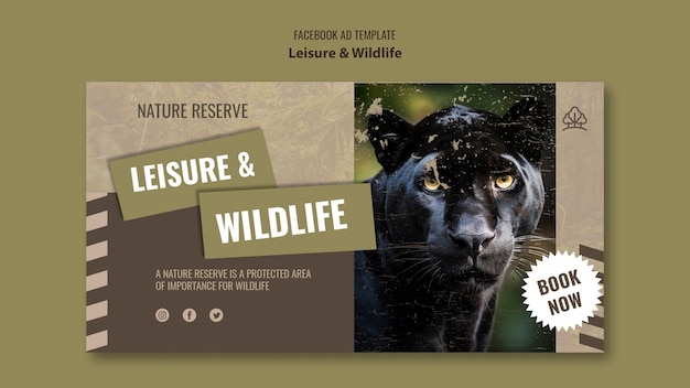 Free PSD leisure and wildlife template design