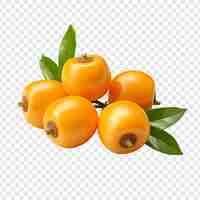 Free PSD loquat isolated on transparent background