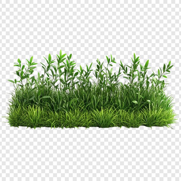 푸른 풀과 덤불 3D 렌더링