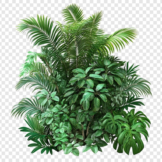 lush tropical foliage a vibrant collection of green plants
