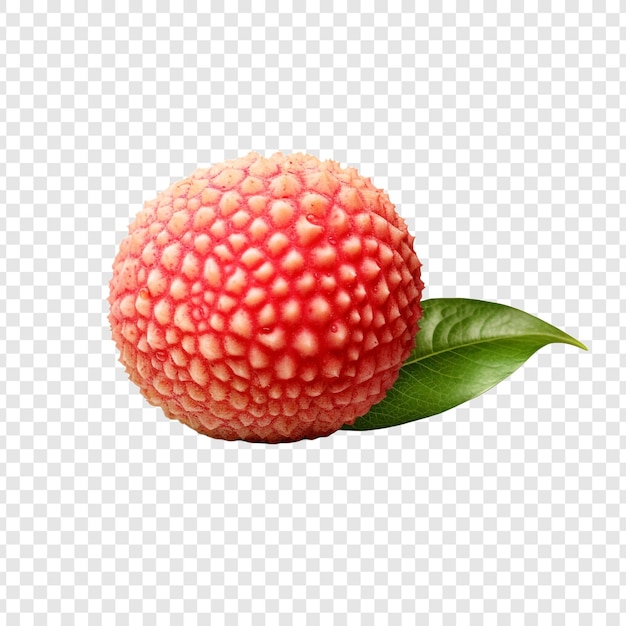 Free PSD lychee isolated fruits on transparent background