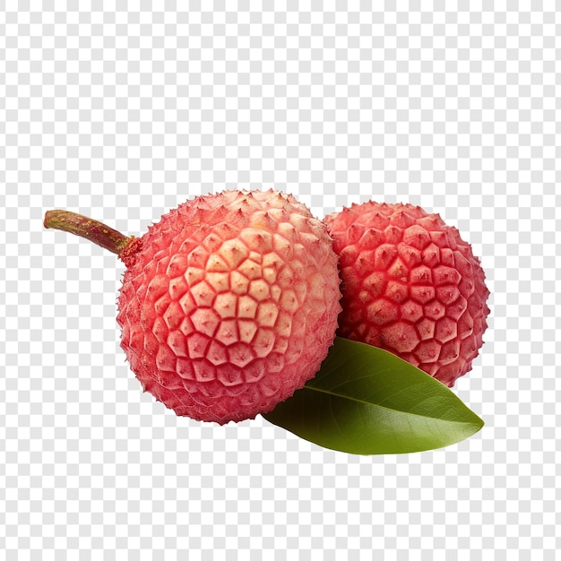 Frutti isolati di lychee su sfondo trasparente