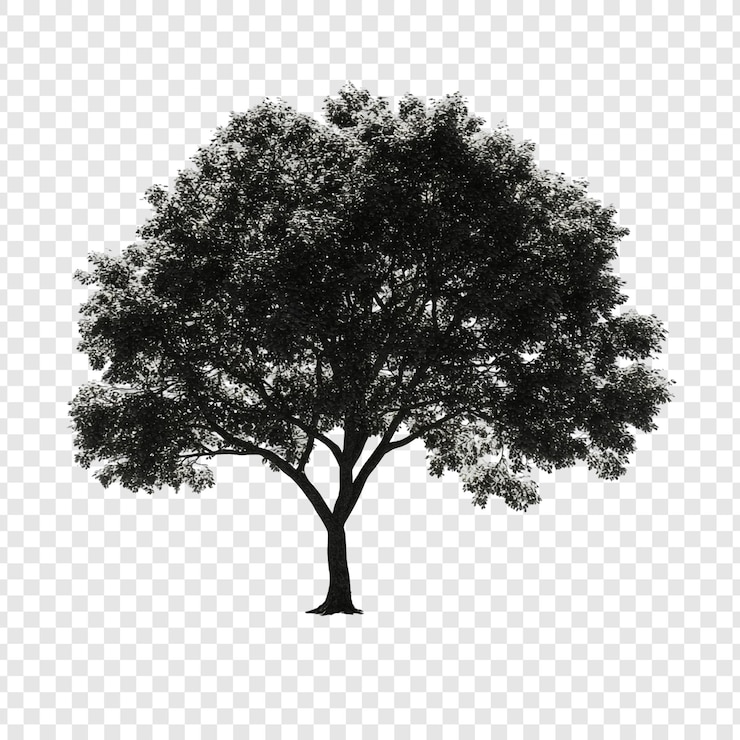 Free PSD majestic silhouette of a tree