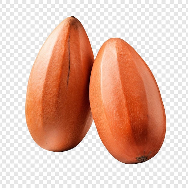 무료 PSD 투명한 배경 위에 mamey 고립 된 과일