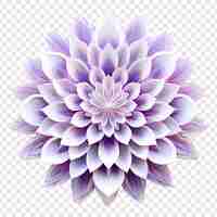 Free PSD mandala fractal design element with flower pattern isolated on transparent background