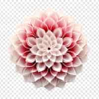 Free PSD mandala fractal design element with flower pattern isolated on transparent background