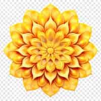 Free PSD mandala fractal design element with flower pattern isolated on transparent background