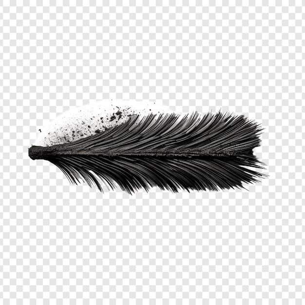 Free PSD mascara brush mark isolated on transparent background