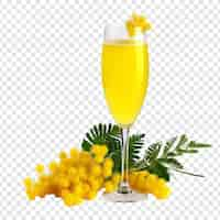 Free PSD mimosa flower png isolated on transparent background