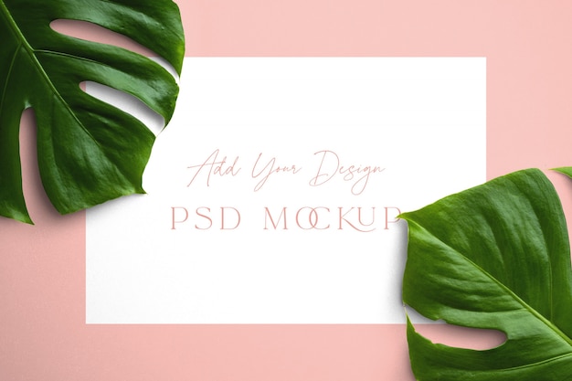 Free PSD monstera leaves frame mockup