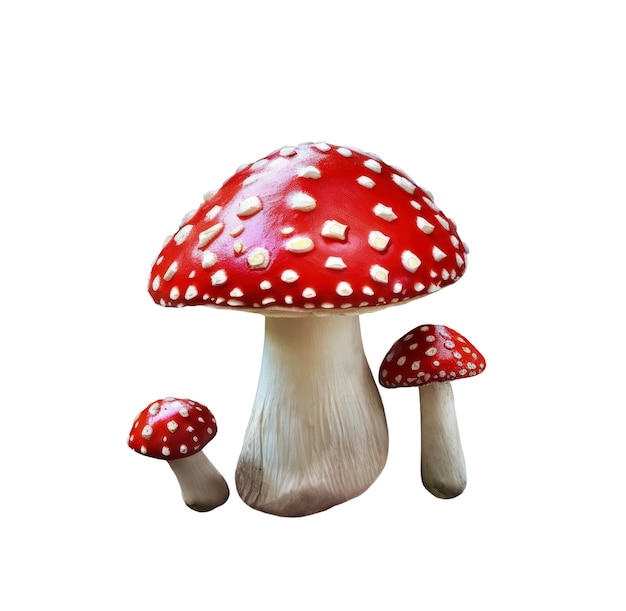 Free PSD mushrooms  isolated