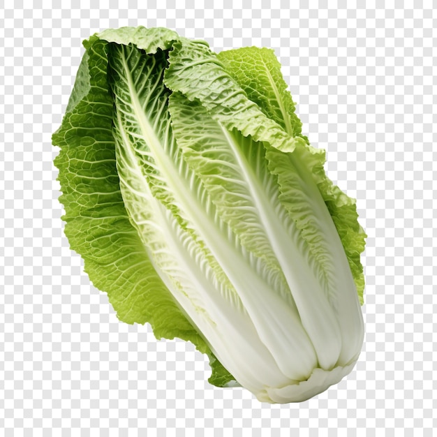 Free PSD napa cabbage isolated on transparent background