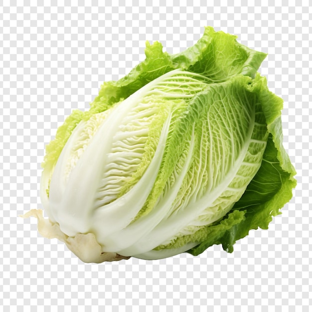 Free PSD napa cabbage isolated on transparent background