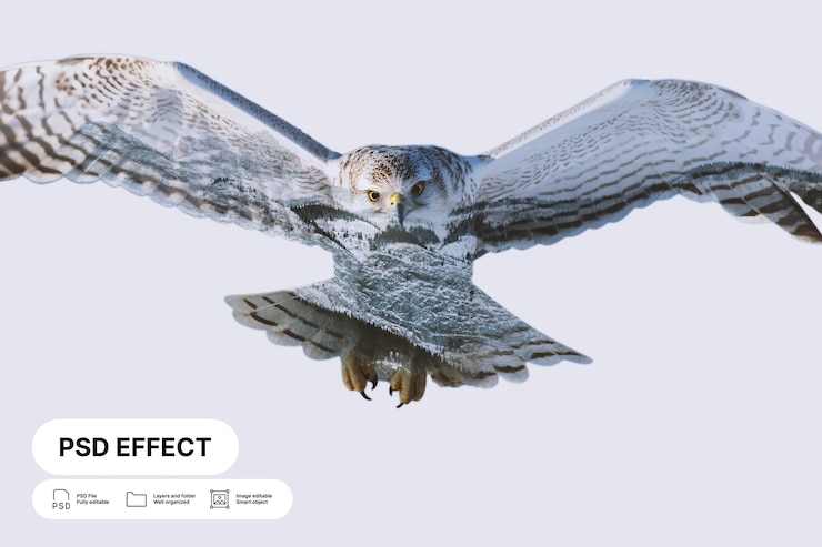 Free PSD natural landscape photo effect