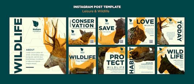 無料PSD 自然と野生生物の保護 instagram の投稿コレクション